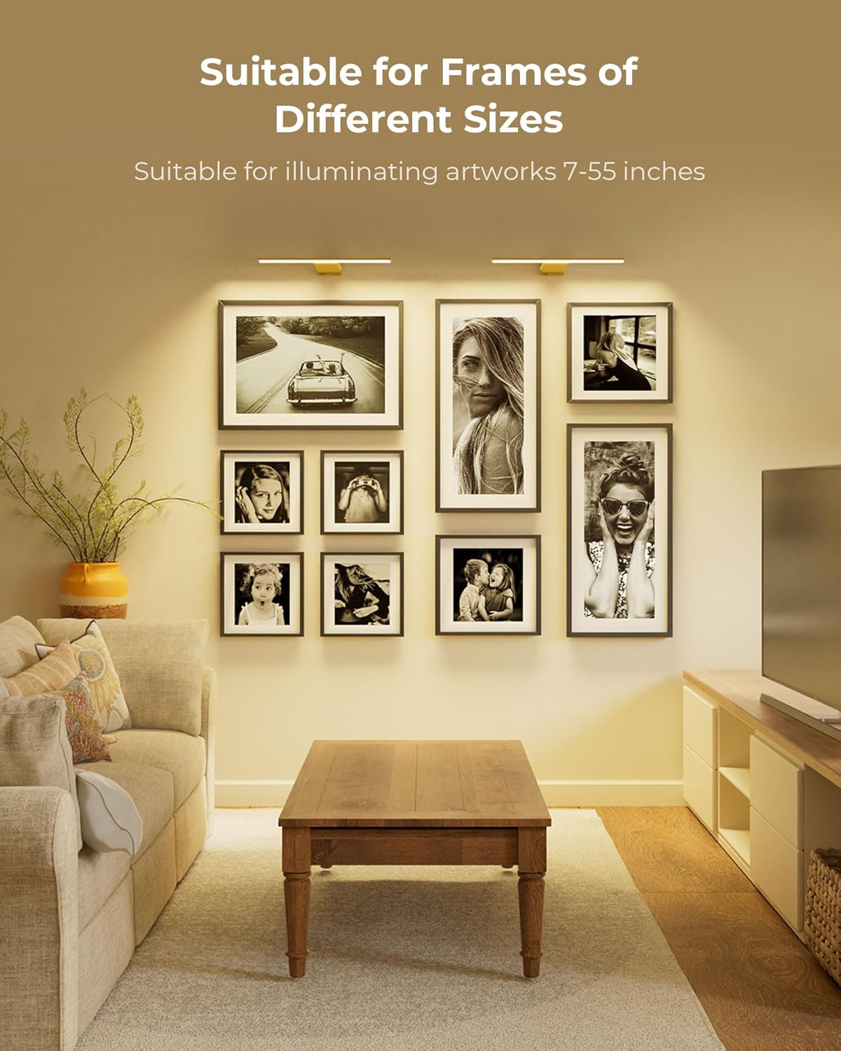 Picture Light for Wall with Remote, Picture Lights Battery Operated Rechargeable 12000mAh, 3 Colors & 3 Timers, Brightness Dimmable for Gallery Poster Frame Painting Photo Art Display (Gold, 1 Pack)