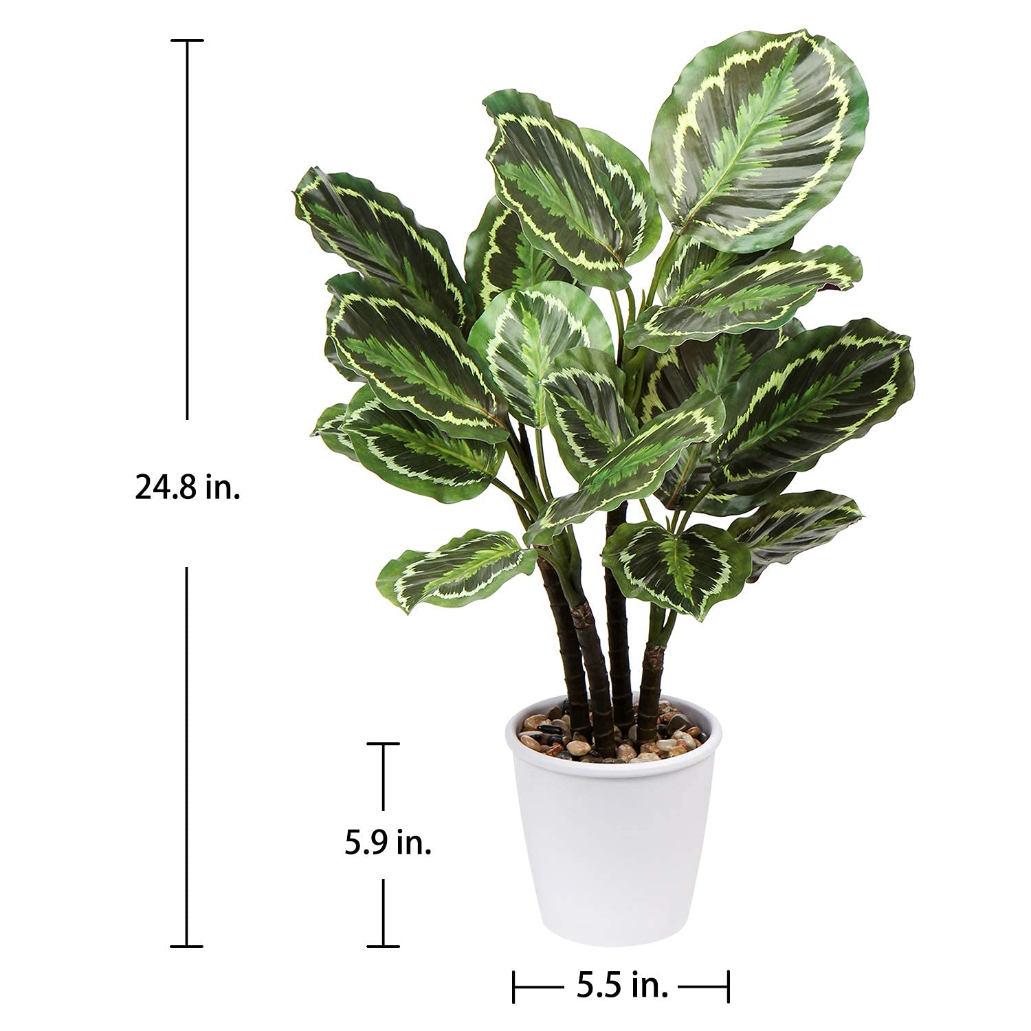 efeu in hecke Efeu & Efeuhecke Sichtschutz kaufen, 220 cm Hhe Bis zu 30% Sparen   Efeuria, die Gartenhecken aus Efeu