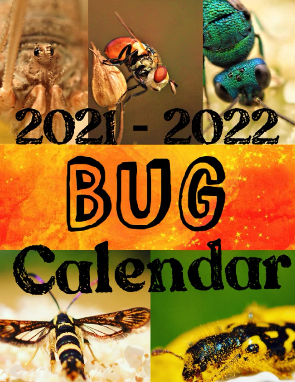 Bug Calendar 2021-2022: Insect Macro Photography
