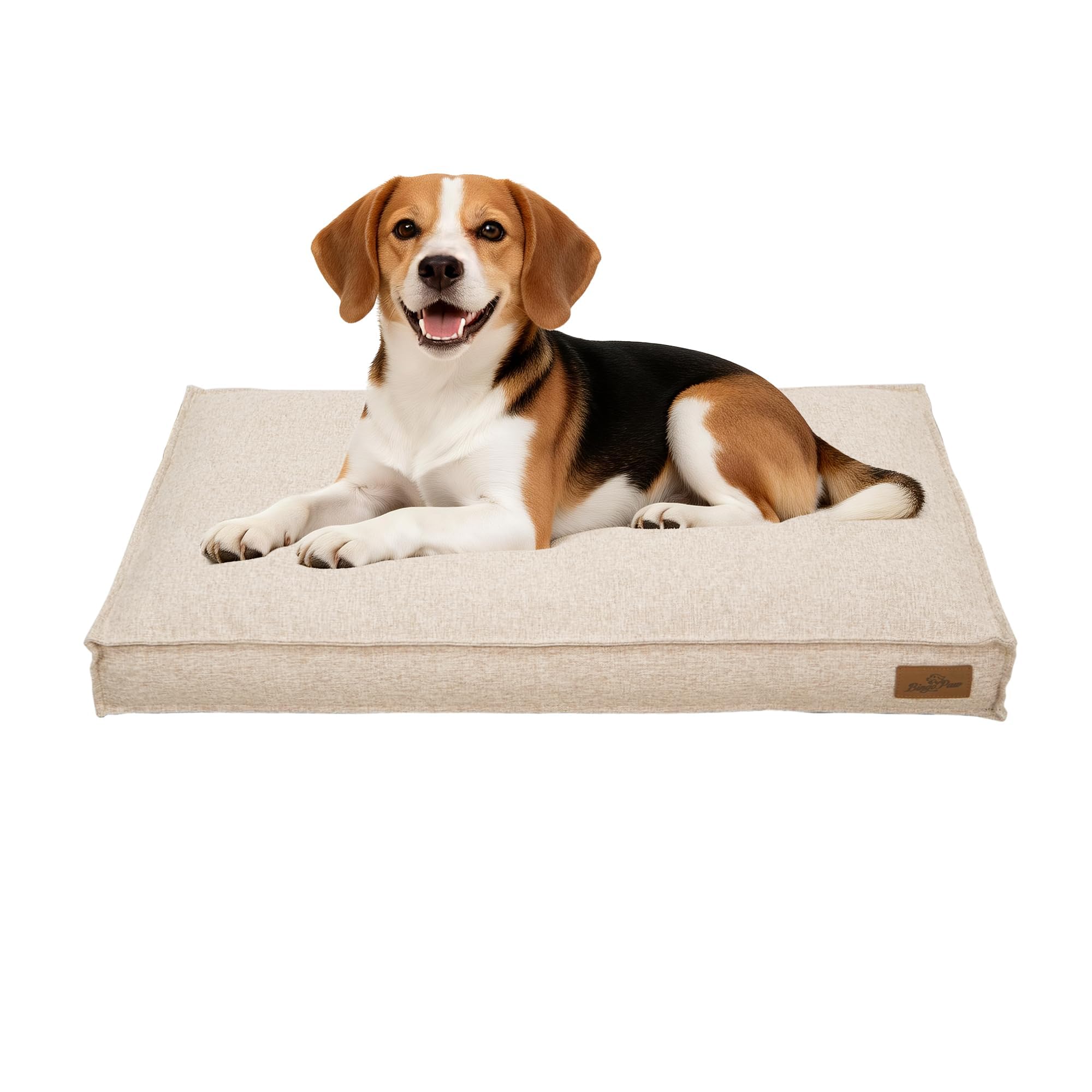 BingoPaw Hundebett für kleine mittelgroße große Hunde, kühl Leinen