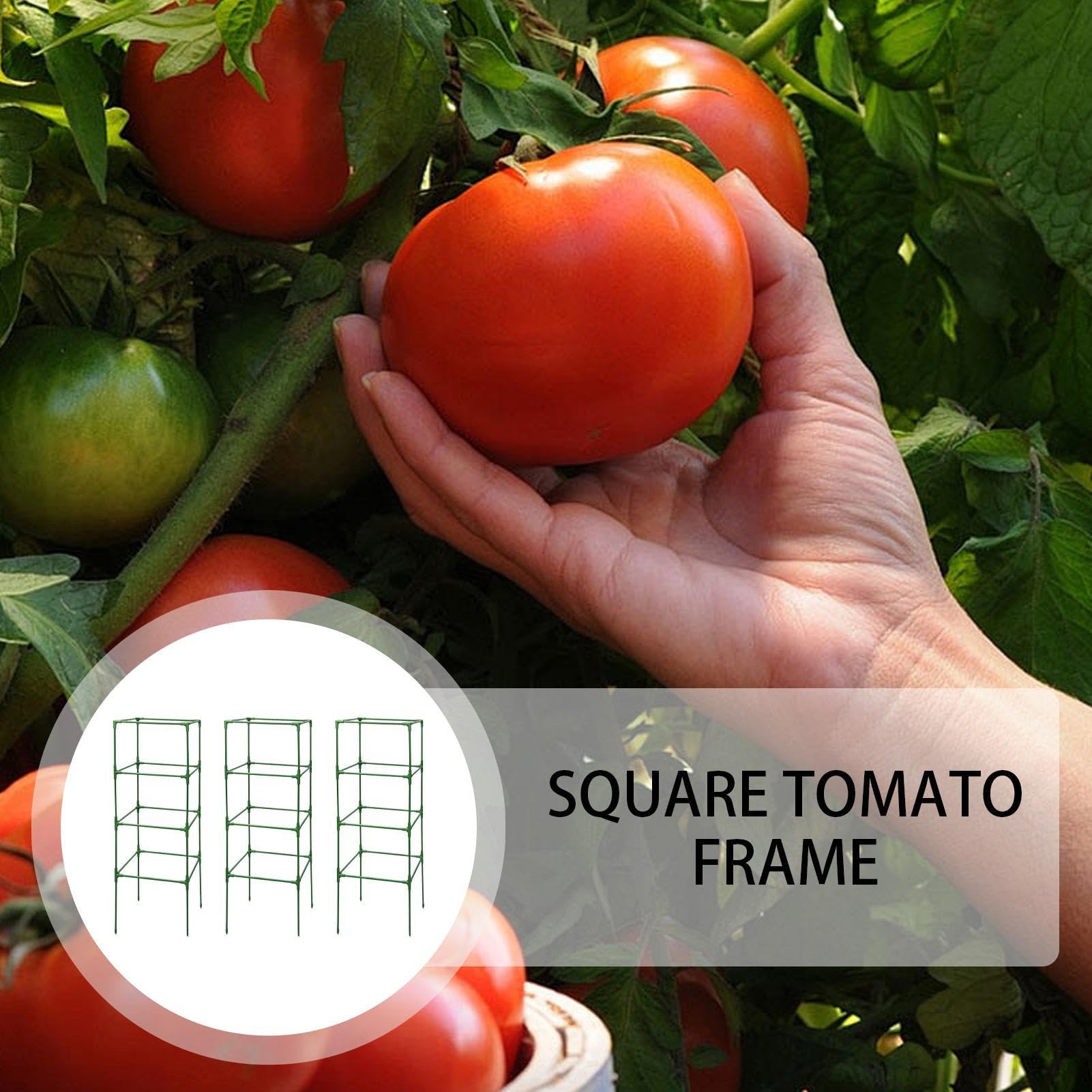 Tomatenkäfige für den Garten Quadratisch Und Verstellbar 3-Teilig