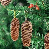 Vista 6 de JOHOUSE Conos de pino natural de 3.5 a 5 pulgadas, piñas grandes, adornos de piña natural de Navidad, conos de pino de abeto grandes para decoración