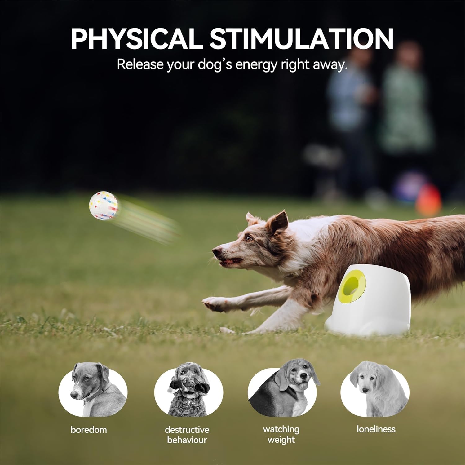 ALL FOR PAWS Automatic Dog Ball Launcher with 2.5in EPTU Balls, Ball Thrower for Medium to Large Dogs, Interactive Dog Fetch Toy for Mental & Physical Exercise