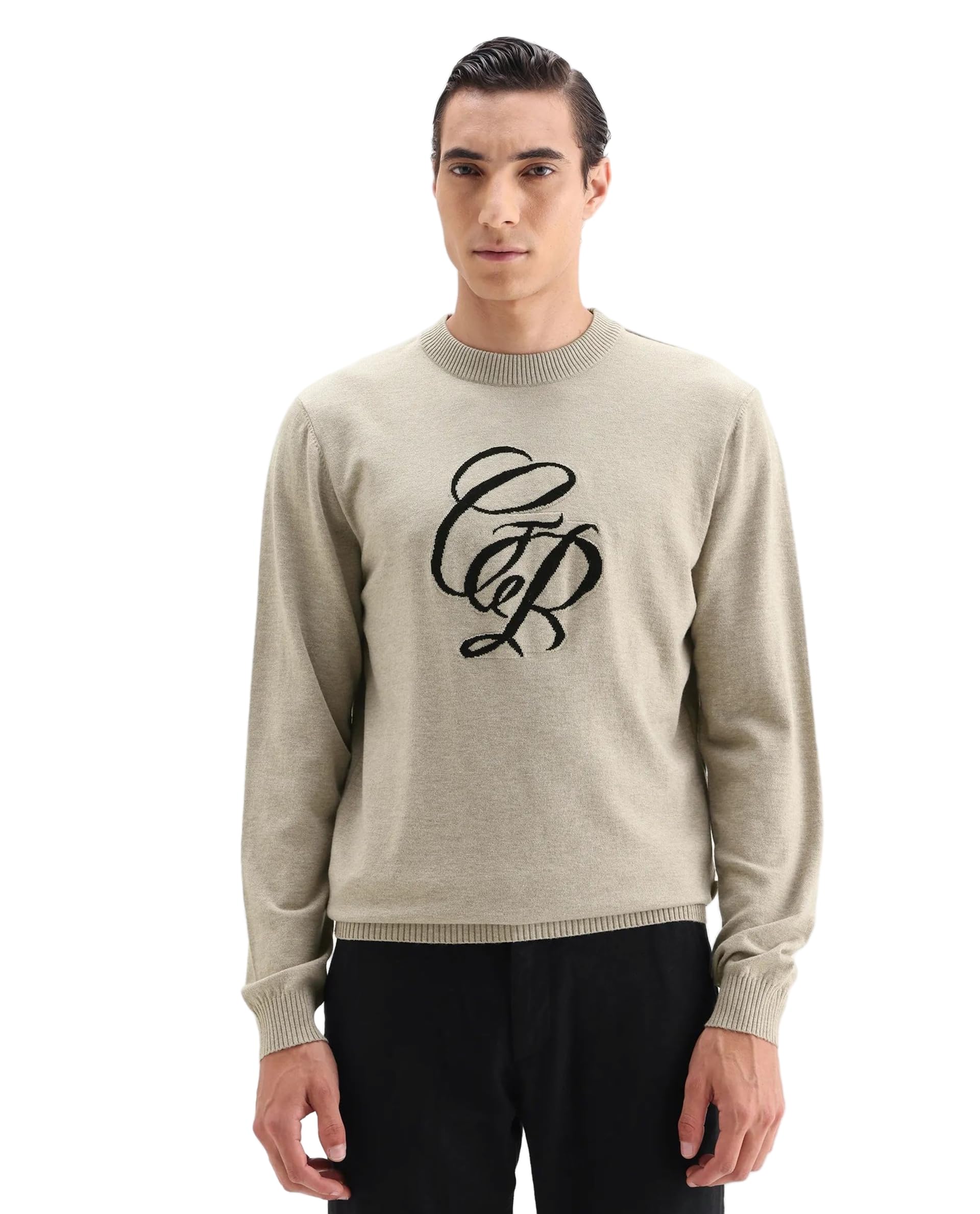 rare rabbit Men's Gron Regular Fit Graphic Polyester Blend Crew Neck Sweater-picture-35