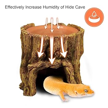 HIDEOUT DAC National Geographic おまけ付 Amazon.com : NANEEZOO Reptile Hide Cave 2 in 1 Reptile Humid