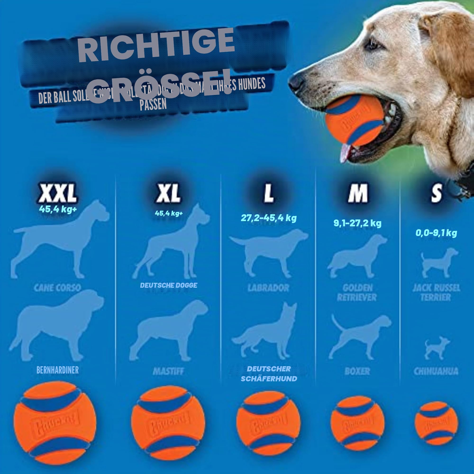 Chuckit! Ultra Ball Hundespielzeug, Eimer, langlebiger Gummi-Hundeball und Eimer, hohe Sprungkraft, schwimmend, Chuck It Launcher, kompatible Spielzeugbälle für Hunde mit Tragetasche, 8 Stück,