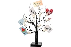Money Tree Gift Holder with Clips: A Timeless Way to Gift and Display