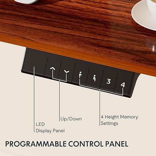 Miniatura 5 de FLEXISPOT Escritorio ajustable de 48 x 30 pulgadas, estación de trabajo, escritorio eléctrico de altura ajustable con losa sólida (marco gris +