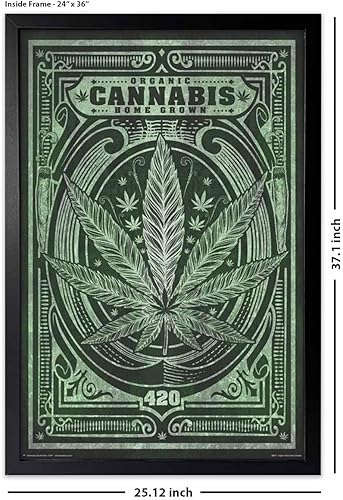 Vista 27 de Póster de cannabis orgánico cultivado en casa, 24 x 36 pulgadas