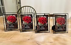 Review Image by I Candy I Candy