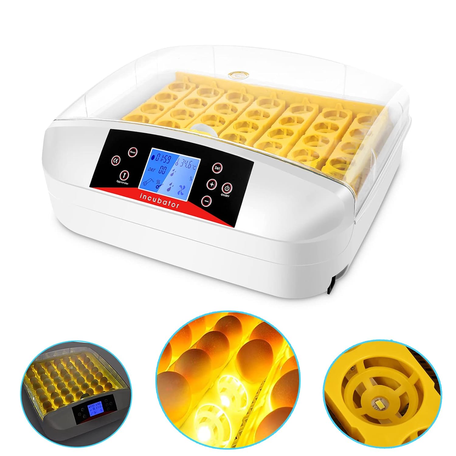 Caroma 41 Eggs Incubator, Incubators for Hatching Eggs with Fully
