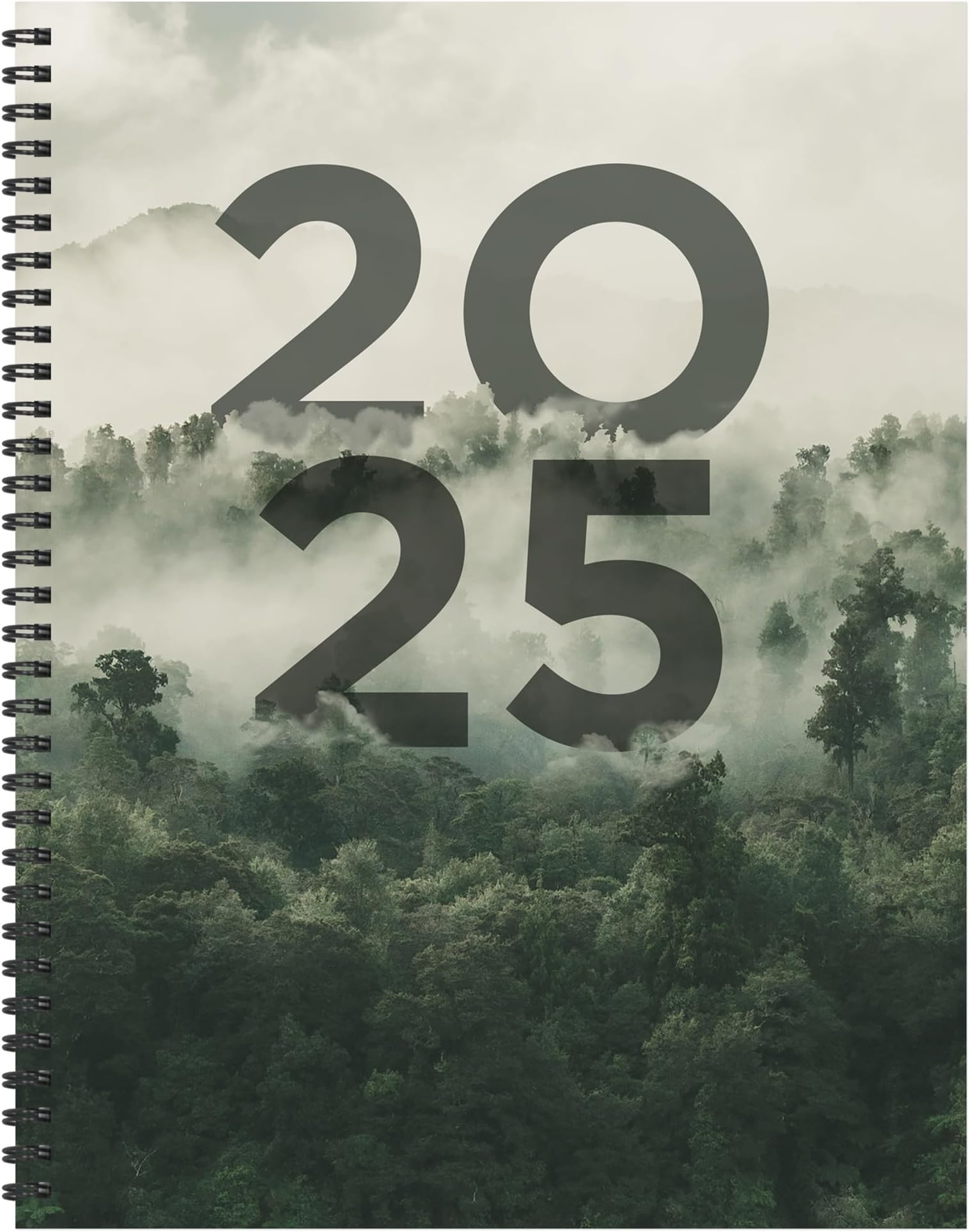 TF Publishing2025 Forest Mist Weekly Monthly Planner (Large)