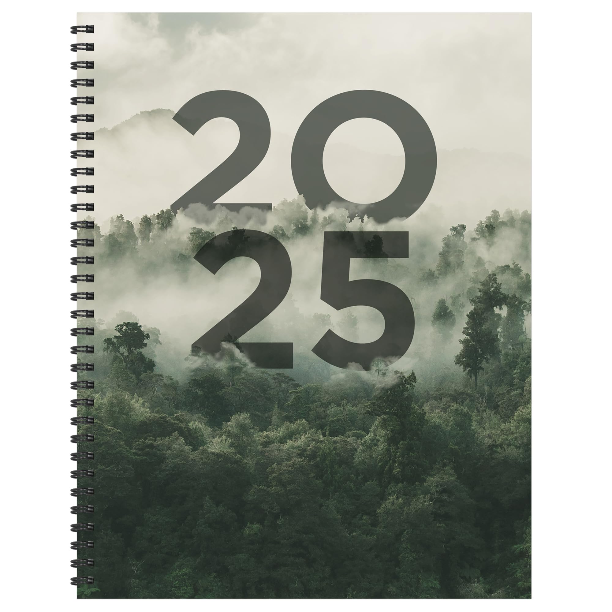 TF Publishing2025 Forest Mist Weekly Monthly Planner (Large)