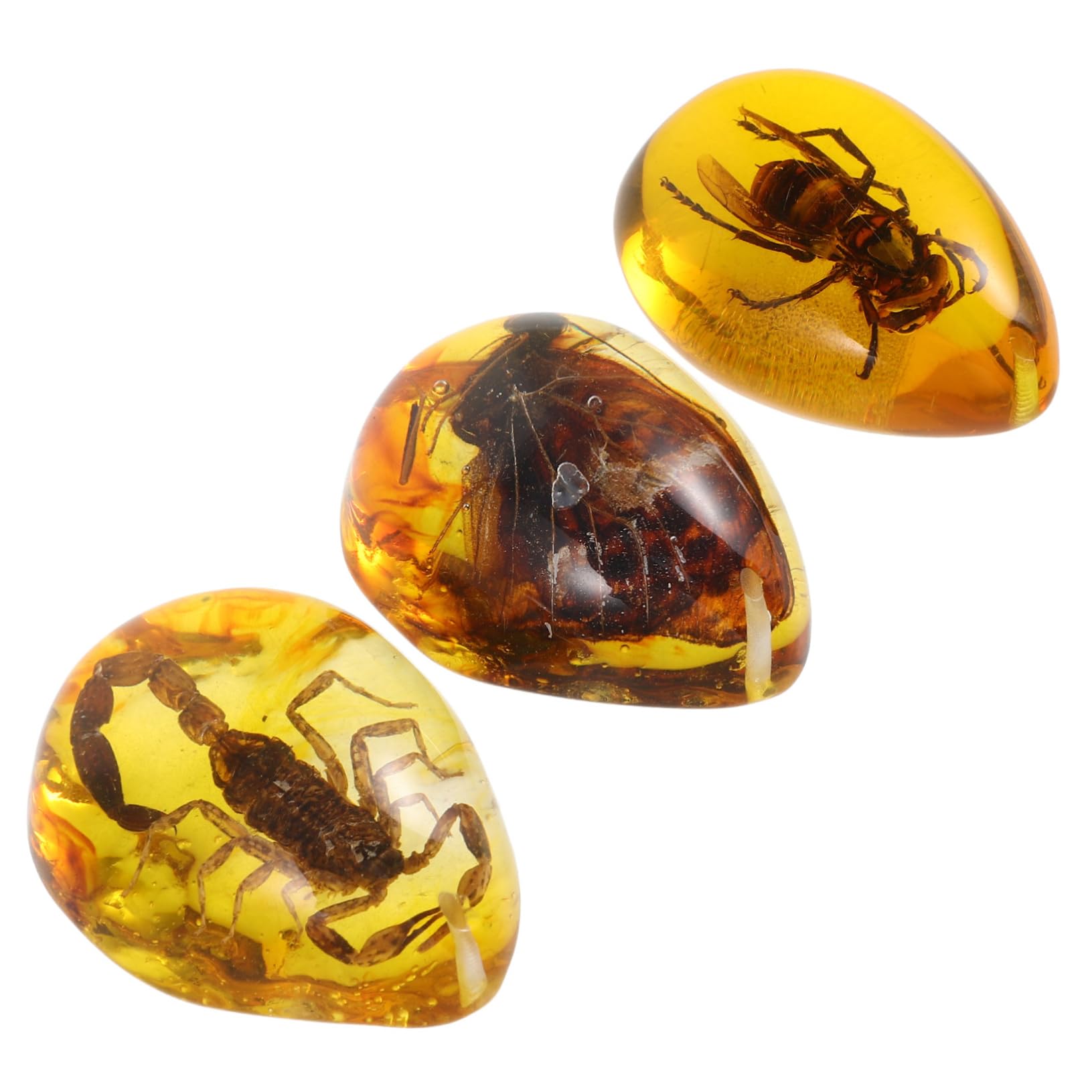 VICASKY 3pcs Amber Specimen Decorative Amber Crafts Insect Amber Decor for DIY Crafting Insect Amber Pendant Insect Specimen Pendants Amber Insect Specimen Amber Resin