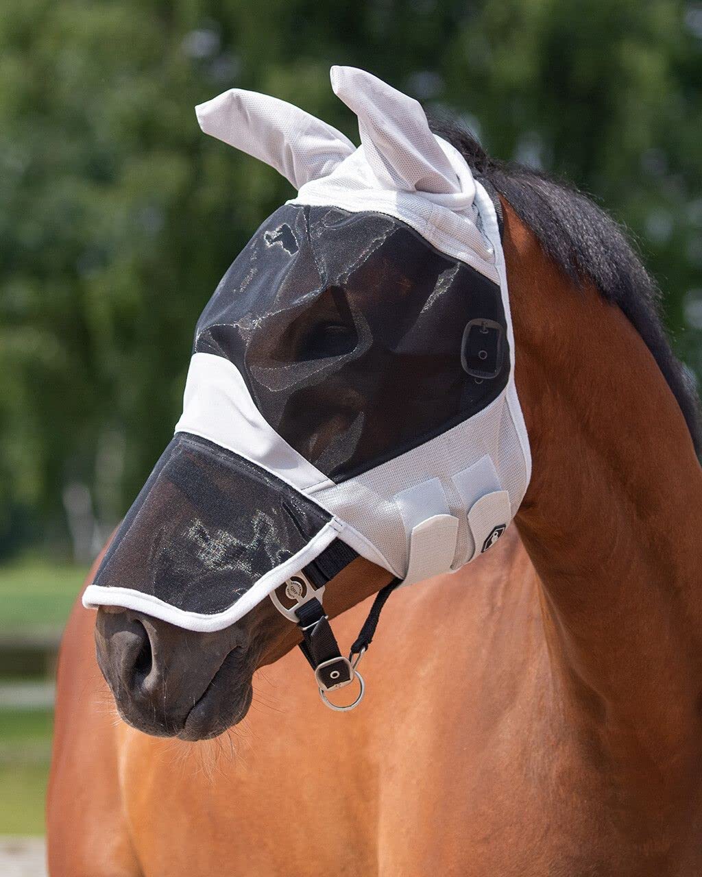 Maschera solare per mosche QHP