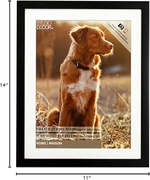 Studio Decor Home Black Tyler Frame, 8 Pack