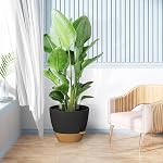 ZMTECH paquet de 2 10 Pots de plantes de pouce avec arrosage des lèvres auto-arrosage Planters avec trous de drainage et pot de fleurs amovibles de Saucer en plastique pour les plantes d'extérieur intérieur (Gray)