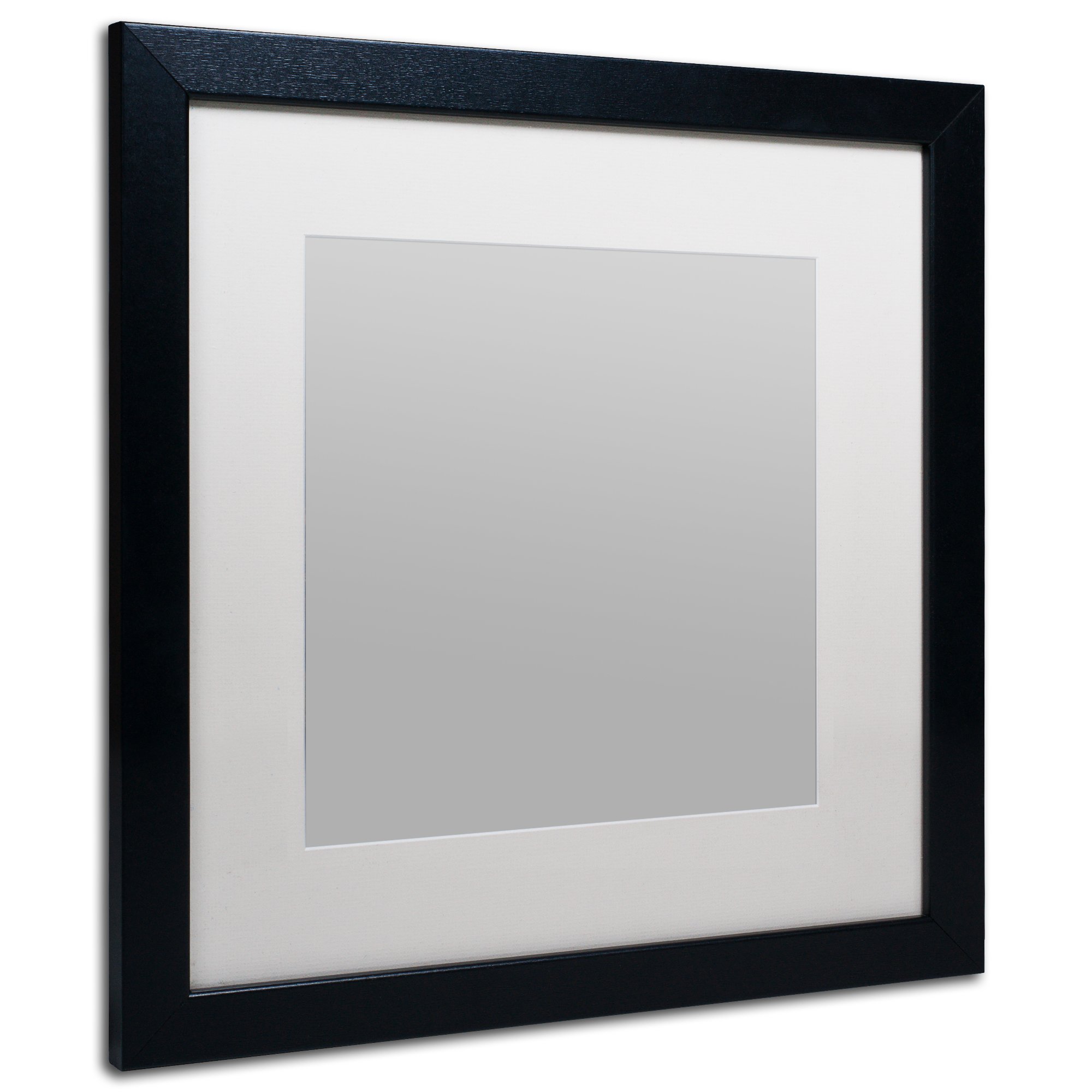 Trademark Fine Art Heavy Duty 16x16 Black Picture Frame with 11x11 White Mat