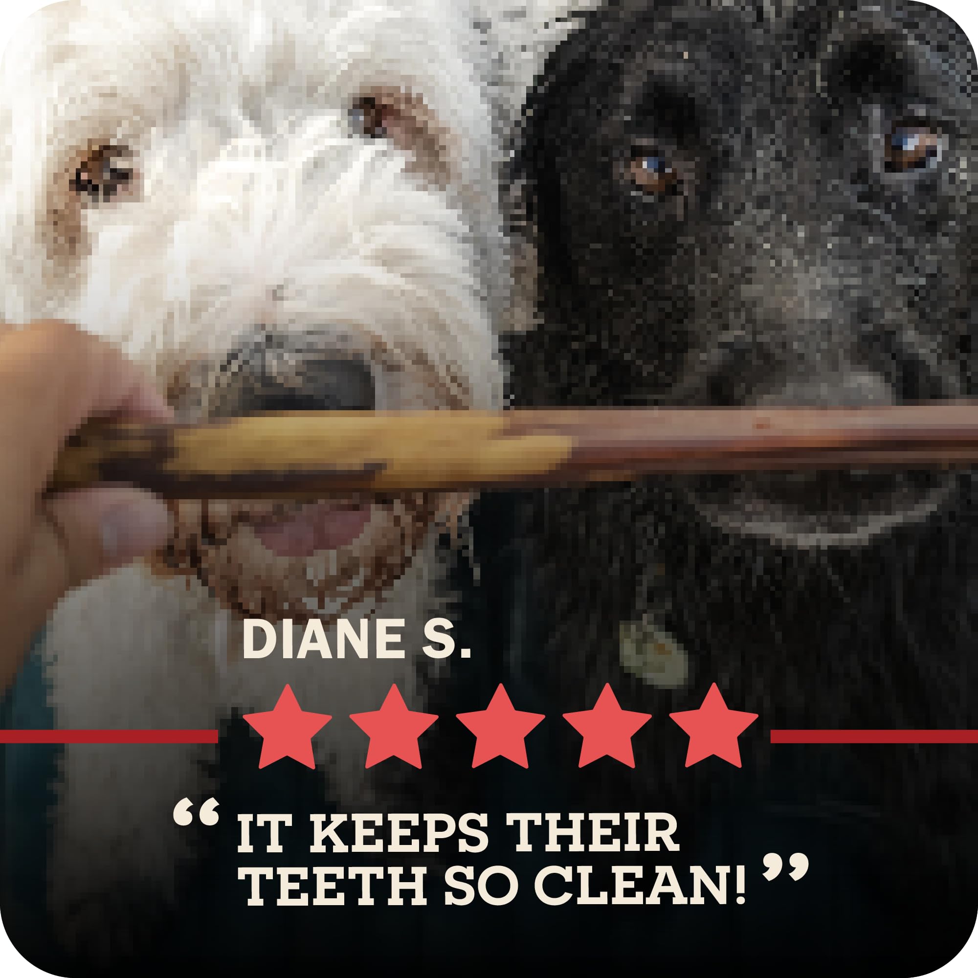 Redbarn Pet Products All-Natural Geflochtene Bully Sticks für Hunde, 30,5 cm, Premium, langsam geröstet, langlebig, aus 100% Rindfleisch, einzelne Zutat, geruchsarm, 5 Stück, Verpackung kann