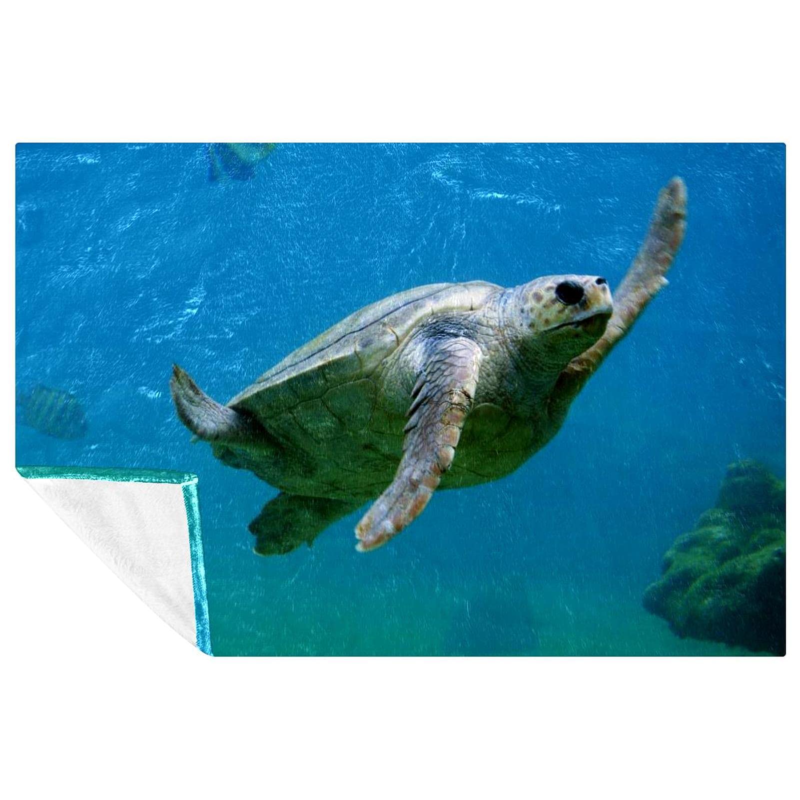 Plaid tortue de mer haut de gamme, couverture chaude et douce 150x100 cm de qualité supérieure