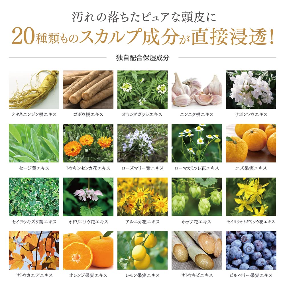 Amazon | FINJIA フィンジアシャンプー [ スカルプ シャンプー