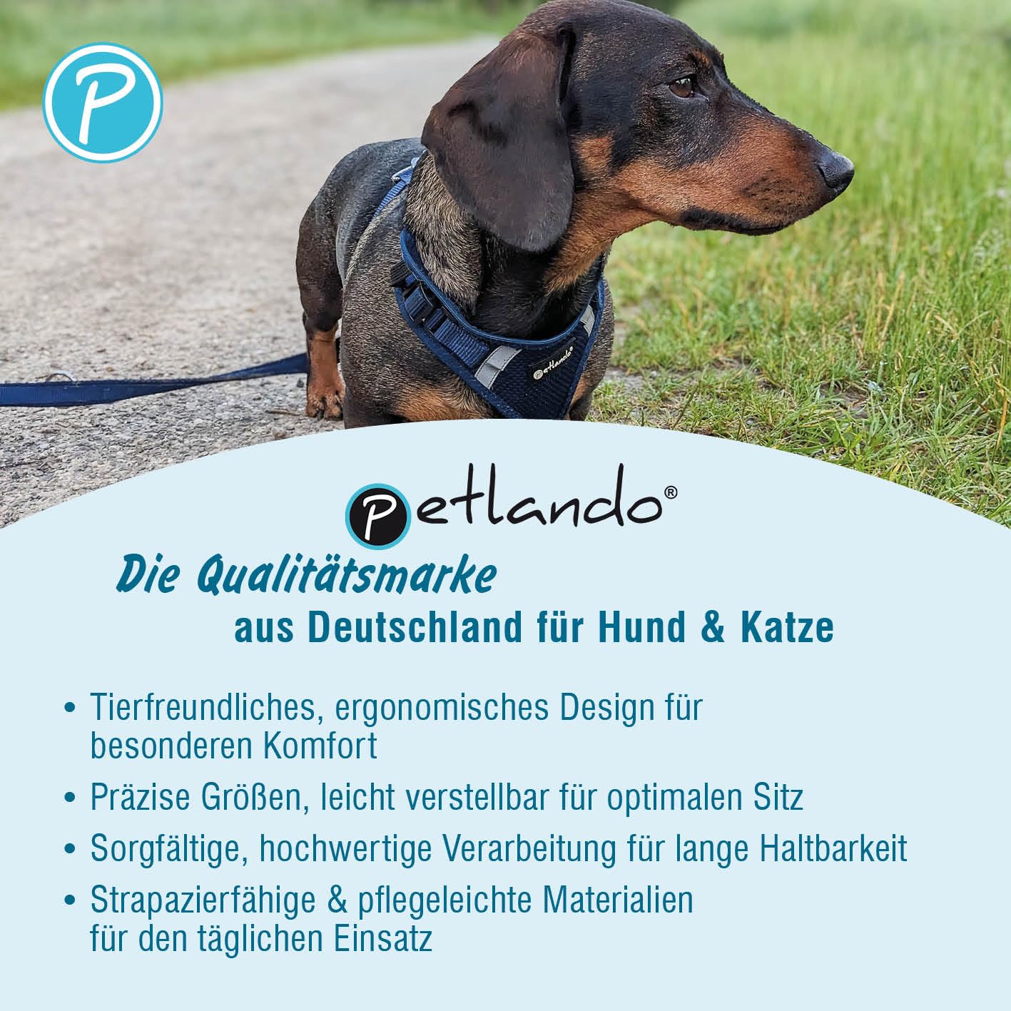 Petlando Hundegeschirr Mesh Vest, leichtes Brustgeschirr aus weichem Mesh & Nylon, stufenlos verstellbar, reflektierend mit 2 D-Ringen, Petrol L, Geschirr Hund gepolstert