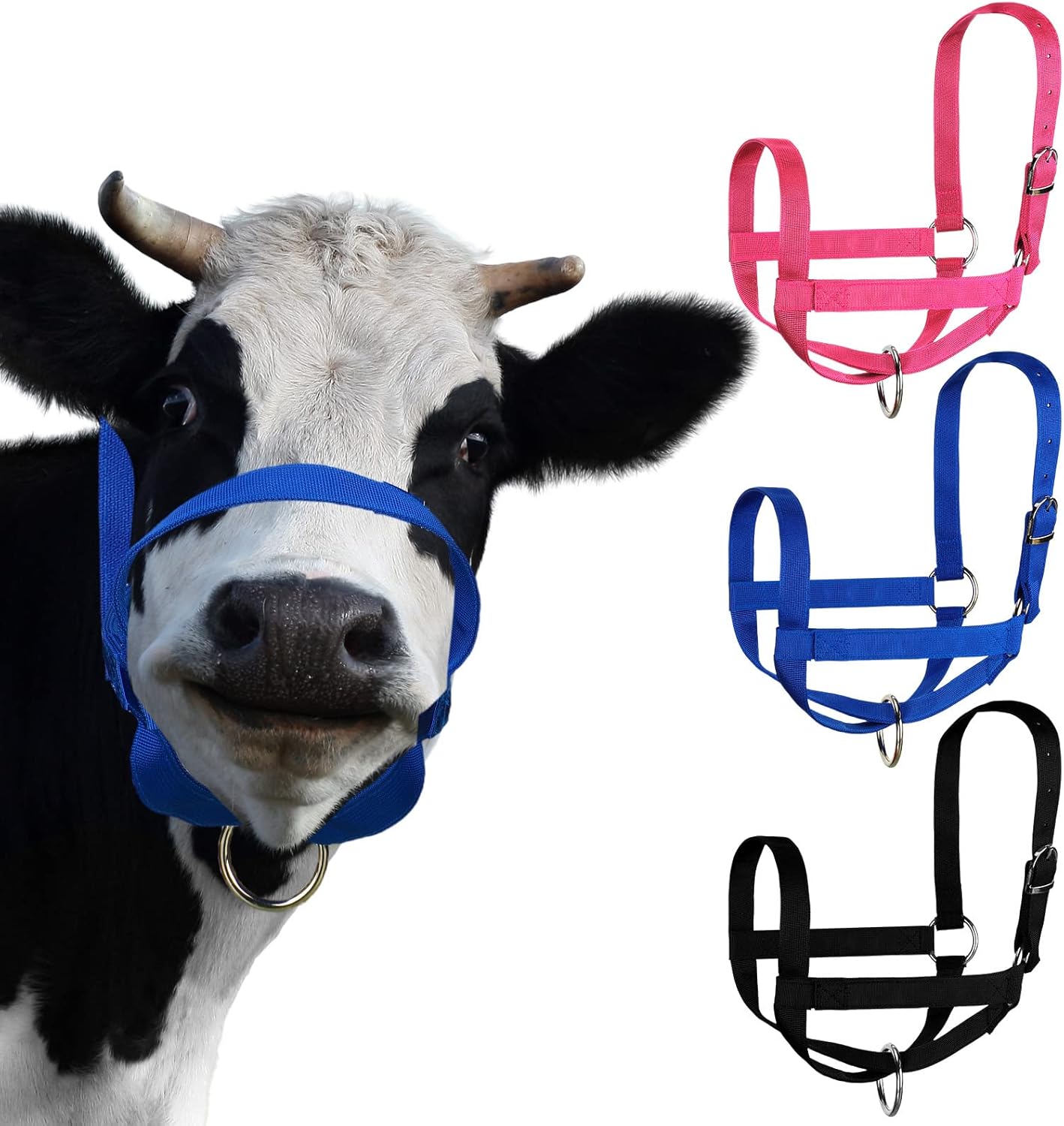 Silkfly 3 Pcs Cow Halter for Cattle Adjustable Calf Foal