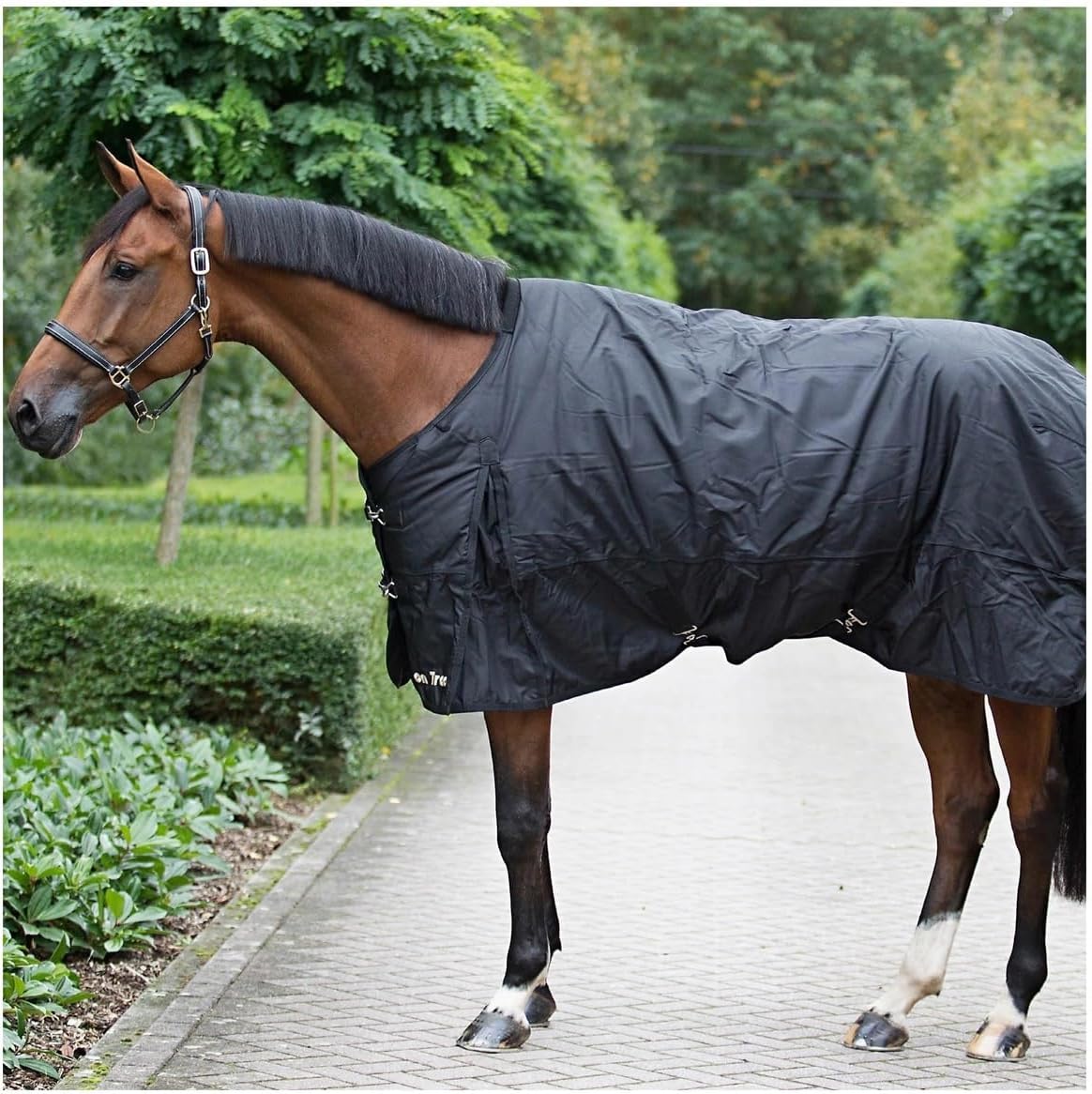 Back on Track Summer Turnout Sheet Large, 81 inch