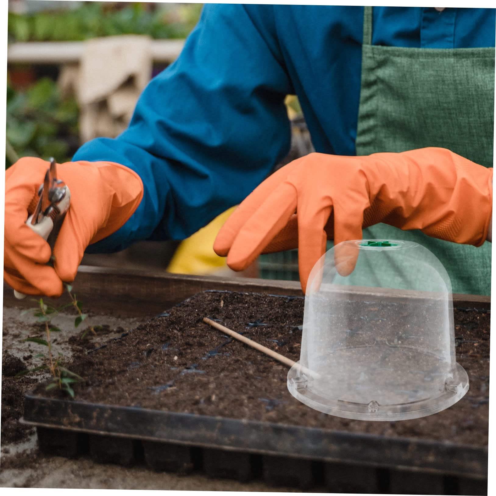 Toddmomy 5piezas Cubiertas Protectoras para Plantas Cúpulas De Jardín Kits De Accesorios De Jardín
