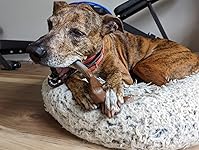 Review Image by Ghost Ghost