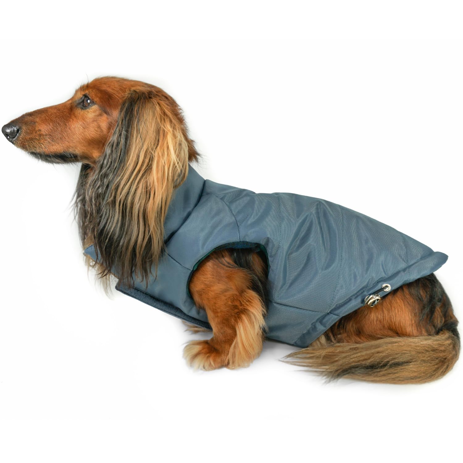 DJANGO Padded Dog Jacket and Reversible Cold Weather Dog Coat with Full Coverage and Windproof ProtectionDJANGO Medium Blue 43238-98238
