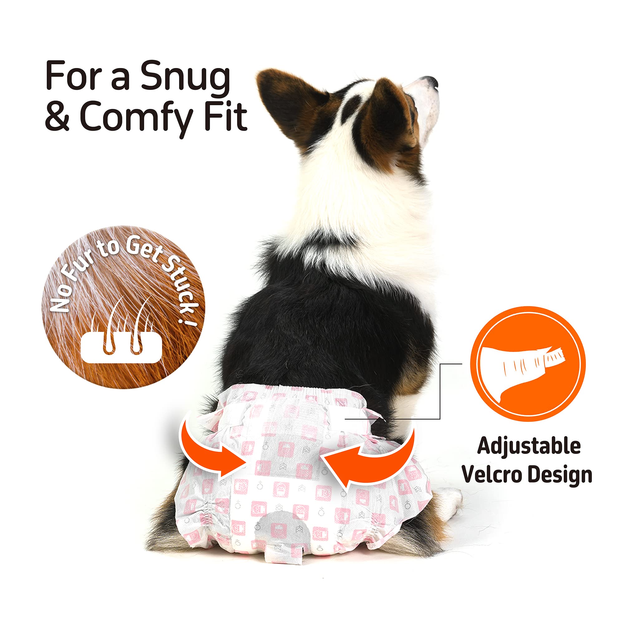 BarkButler x FOFOS Diaper Male Dog M – Dog Diapers Male, Dog Diapers Male Small (Waist Size 24–41 cm, 10pcs) – White 3