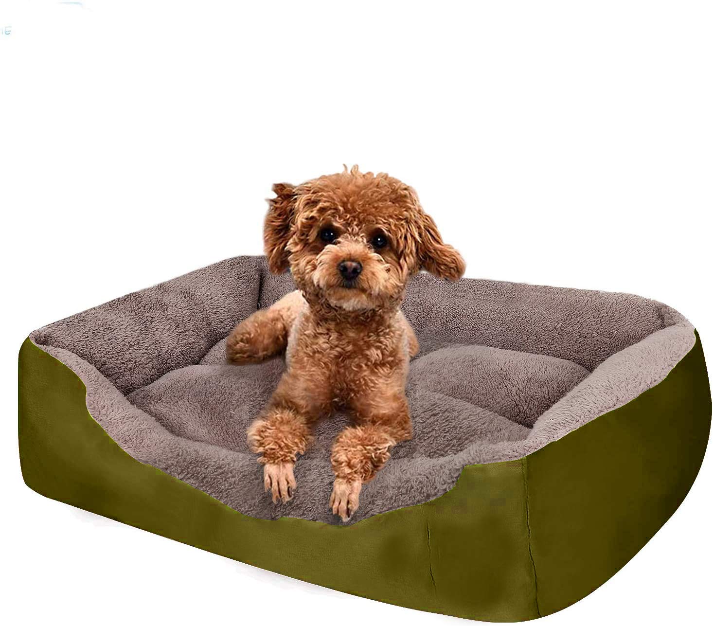 KOZI PET Dog Beds for Dog & Cats, Rectangle Pet Bed Thickened Enough with Soft Coral Fleece and,Durable Dog Sofa Pet Bed (B08Y8NBPXM) Amazon Price History, Amazon Price Tracker