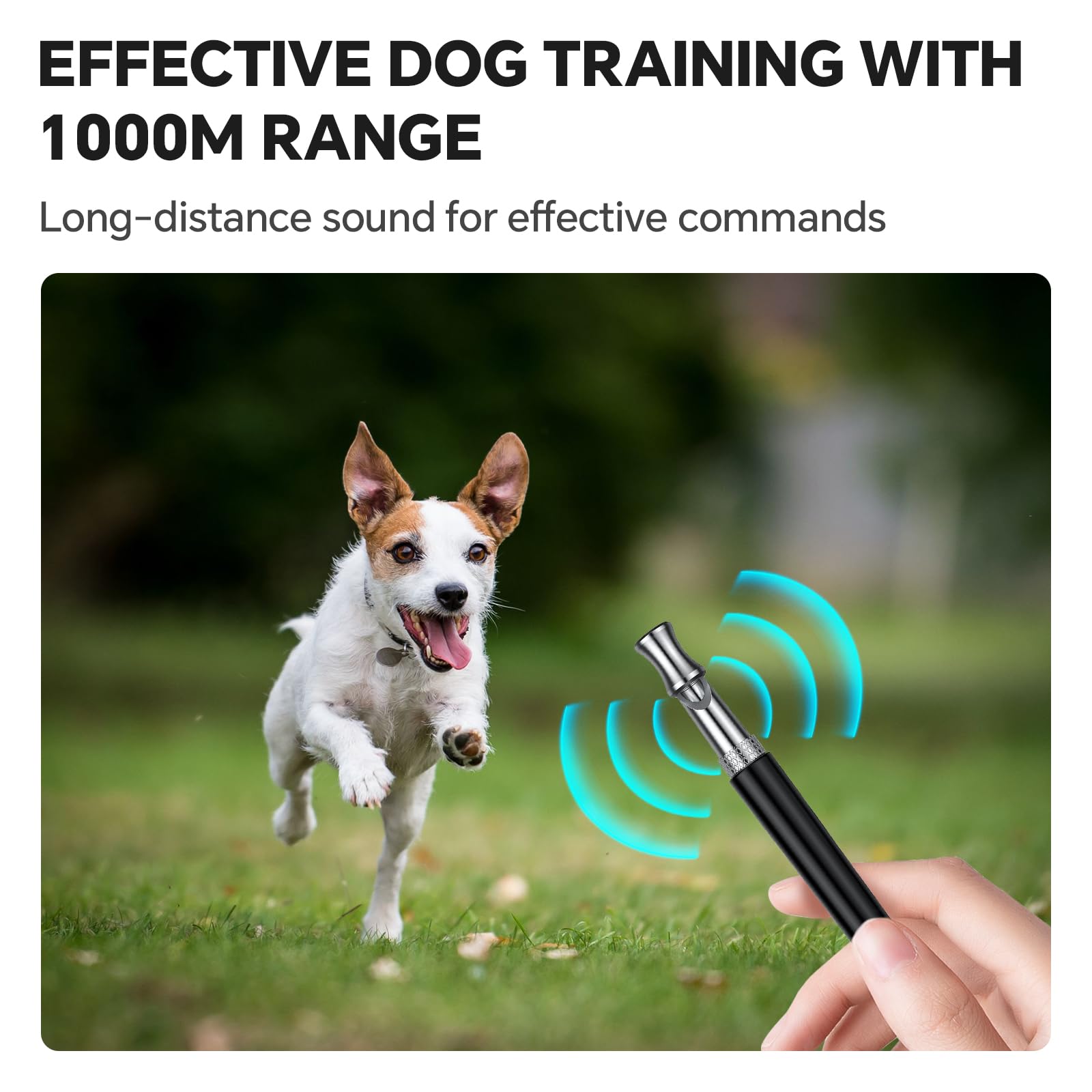 DIZU Hundepfeife, Hundetrainingspfeife mit Umhängeband, 2 Stück, verstellbar, Ultraschall, geräuschlos, professionelle Hundepfeife, um das Bellen von Nachbarn zu stoppen (Schwarz und Weiß)