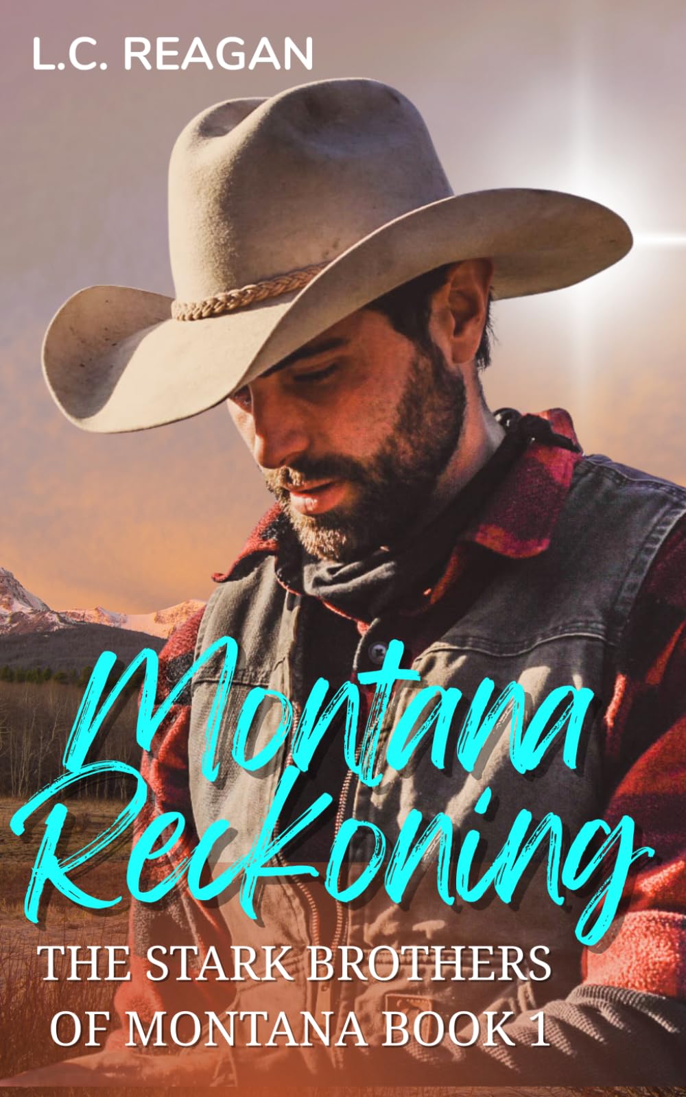 Montana Reckoning: A Second Chance Cowboy Romance (Ellis's Story) (The Stark Brothers of Montana)