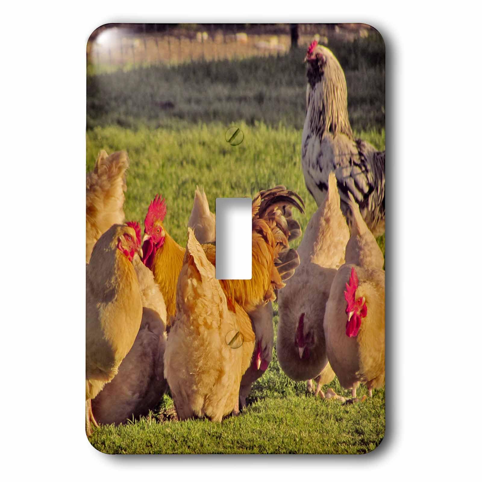 Interrupteur à baïonnette Chickens group 3dRose lsp_50417_1 pour déco cuisine
