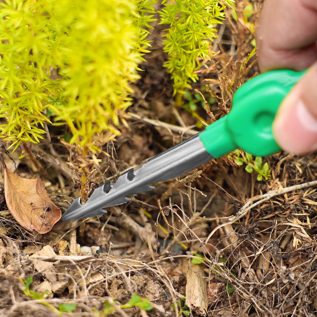 Pinzette da Giardino Professionali in Acciaio Inox Pinza a Punta Dritta Seghettata per Piante Succulente Cactus e Bonsai Strumento di Precisione Portatile per Trapianto e Cura Piante