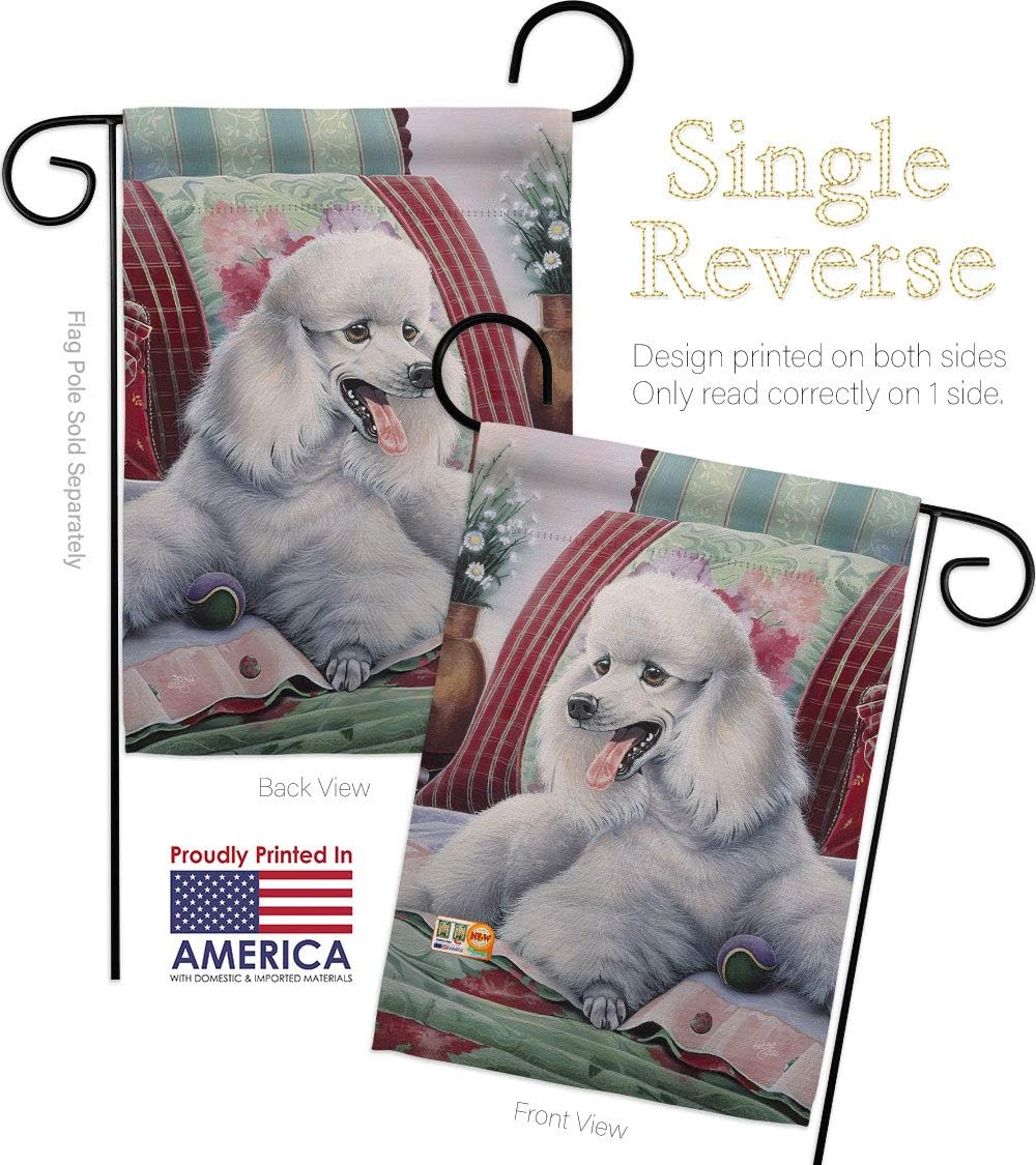 Poodle Garden House Flags Kit Animals Dog Puppy Spoiled Paw Canine Fur Pet Nature Farm Animal Creature Small Decorative Gift Yard Banner Made In USA 28 X 40