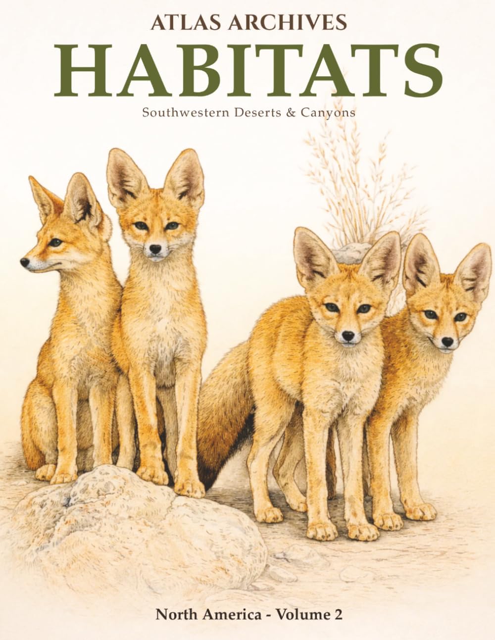 Atlas Archives: Habitats: Southwestern Deserts & Canyons: A Realistic Coloring Field Guide with Species & Facts (Atlas Archives: Habitats — North America)