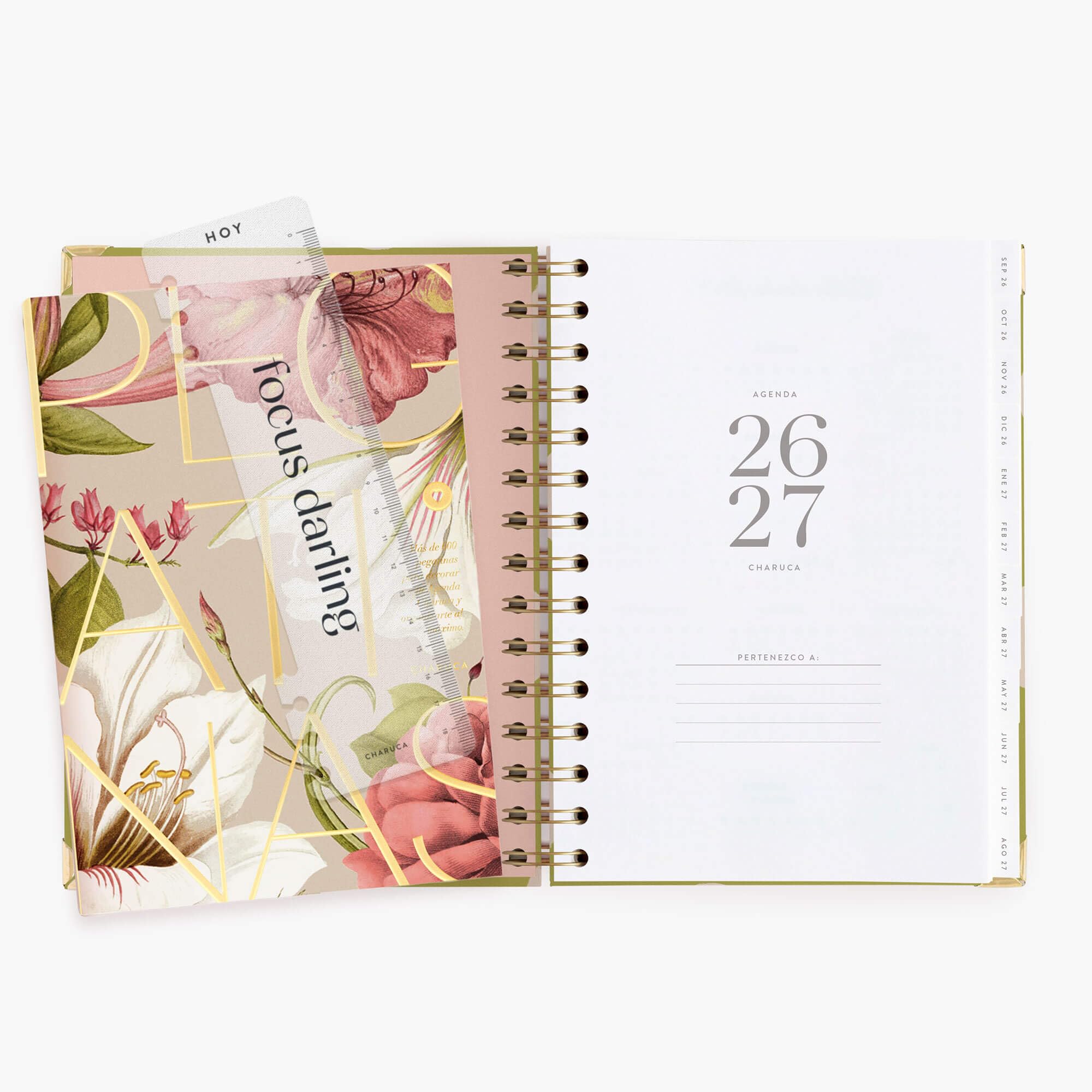 Agenda Charuca 26-27 Académica VISTA SEMANAL - Tapa Dura con Detalles Dorados, Tamaño MEDIANA - Incluye BOLSA de Tela PROTECTORA y Marcapáginas - Hecho en España. (PISTACHO DREAMS)