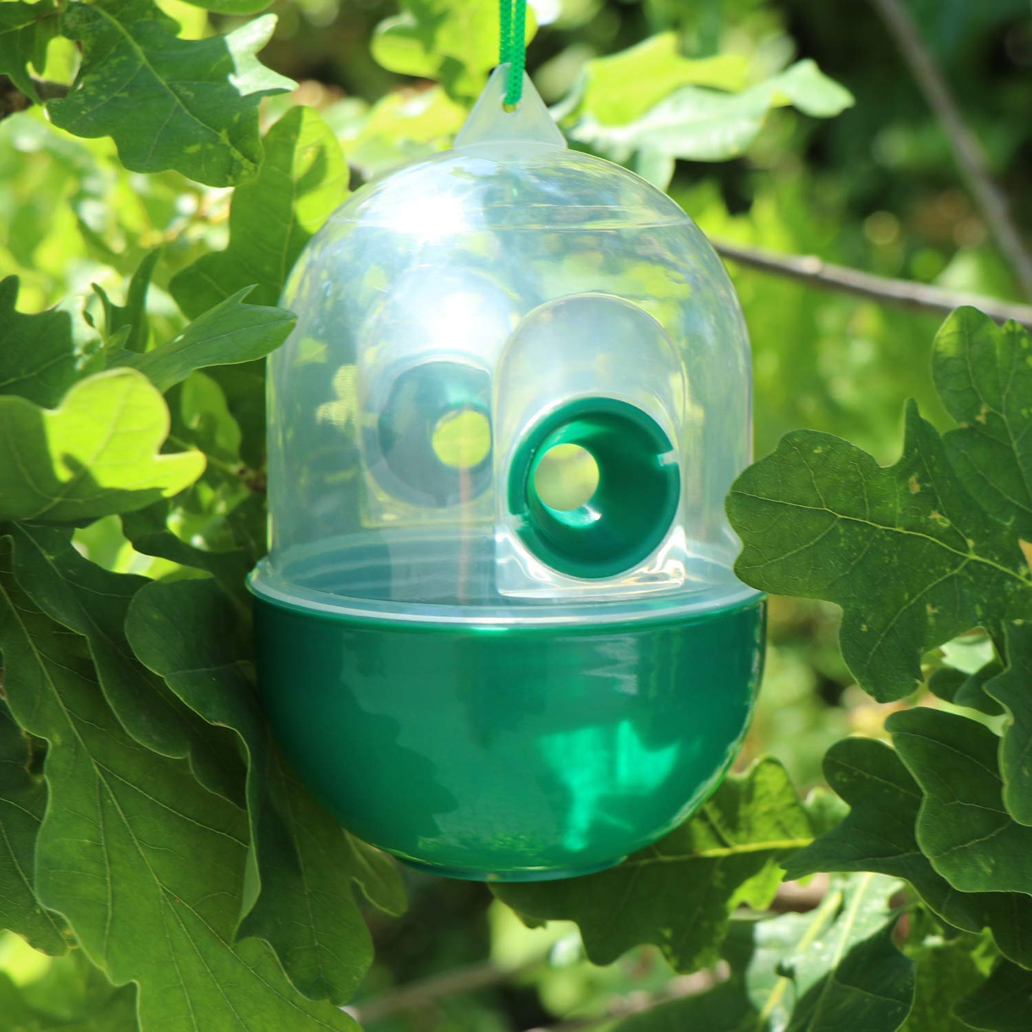COM-FOUR® Trampa para Insectos 4X - Trampa Viva para Colgar - Protección contra Insectos para Exteriores respetuosa con los Animales - Atrapa Insectos de plástico (04 Piezas - Transparente 12cm)