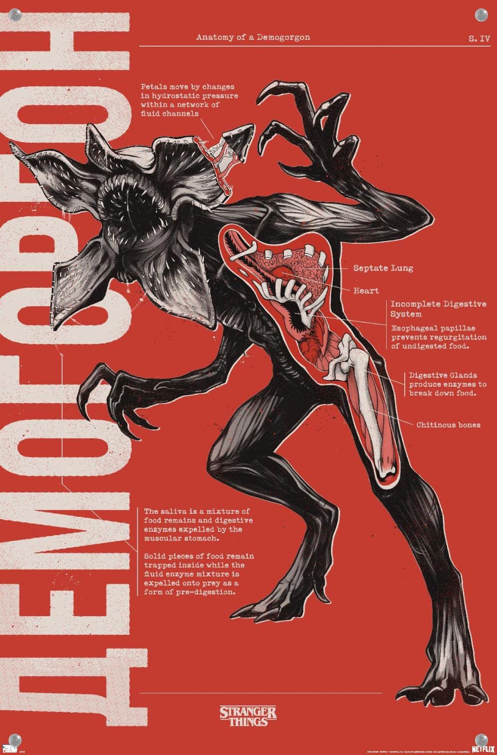 Netflix Stranger Things: Season 4 - Demogorgon Anatomy Wall Poster
