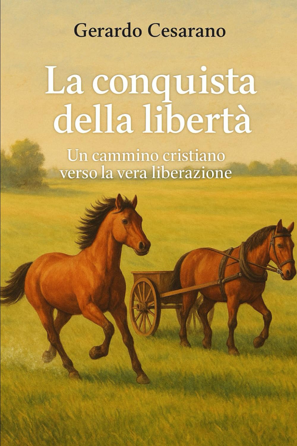 La conquista della libertà: Un cammino cristiano,la vera liberazione