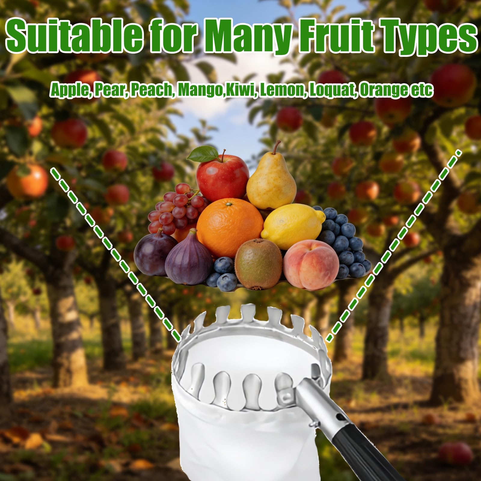 Raccoglifrutta Telescopico 3.2 m Diametro 16 cm, Raccogli Frutta con Palo in Acciaio Inox e Sacchetto Cotone, Raccogli Mele Ciliegie Agrumi Pere Pesche, Raccoglitore Frutta Regolabile