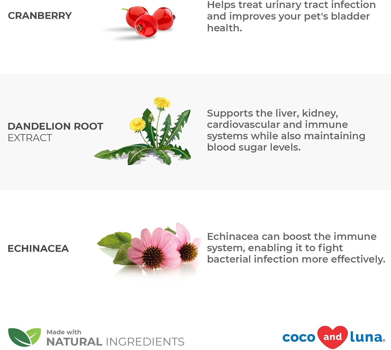 Cranberry for Dogs and Cats - Urinary Tract Support, Cat UTI, Bladder Support, Dog UTI, Bladder Stones and Incontinence Support