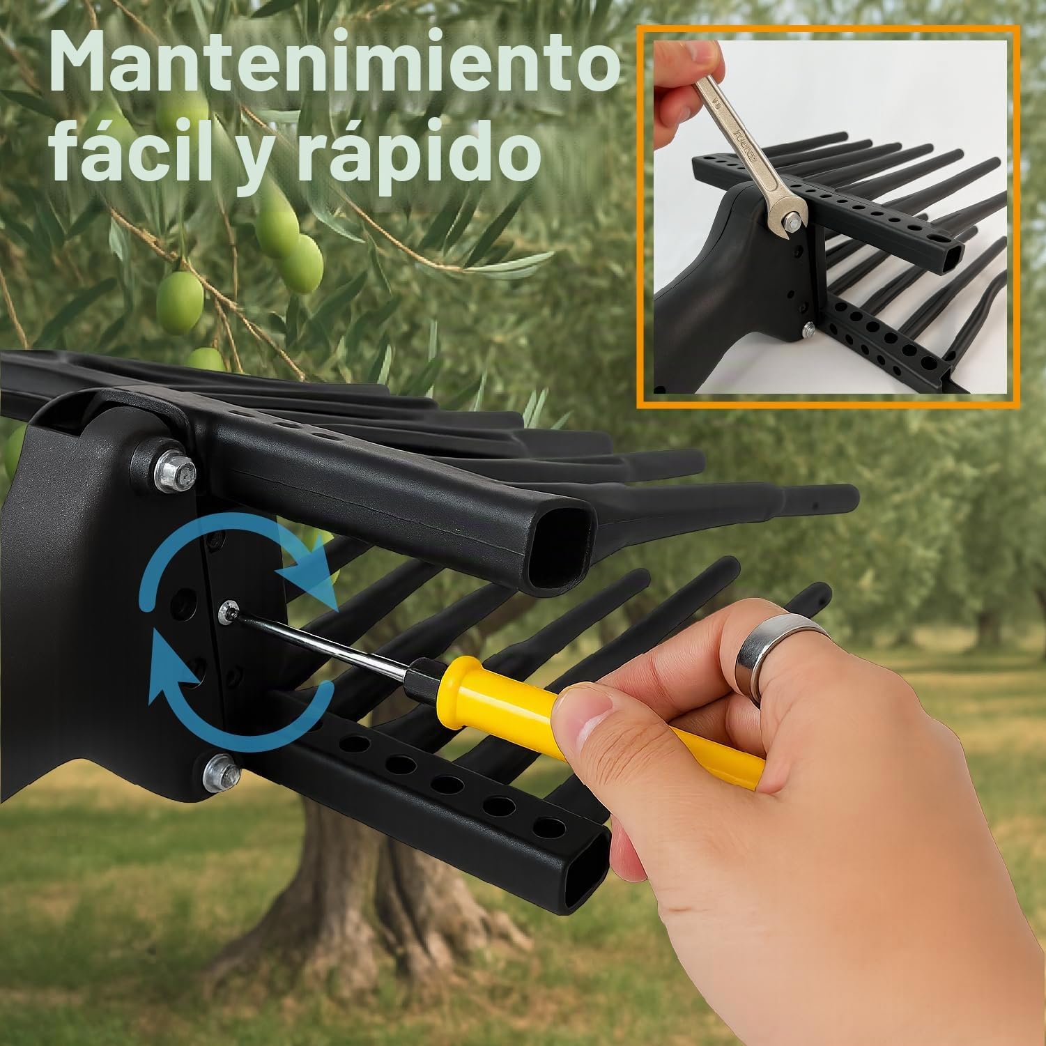 Crisalide® - Vareador para aceitunas, recoge aceitunas profesional con peines de tecnopolímero - Alta productividad y delicadeza sobre las plantas, barra telescópica y cable de 15 m, tensión 12 V