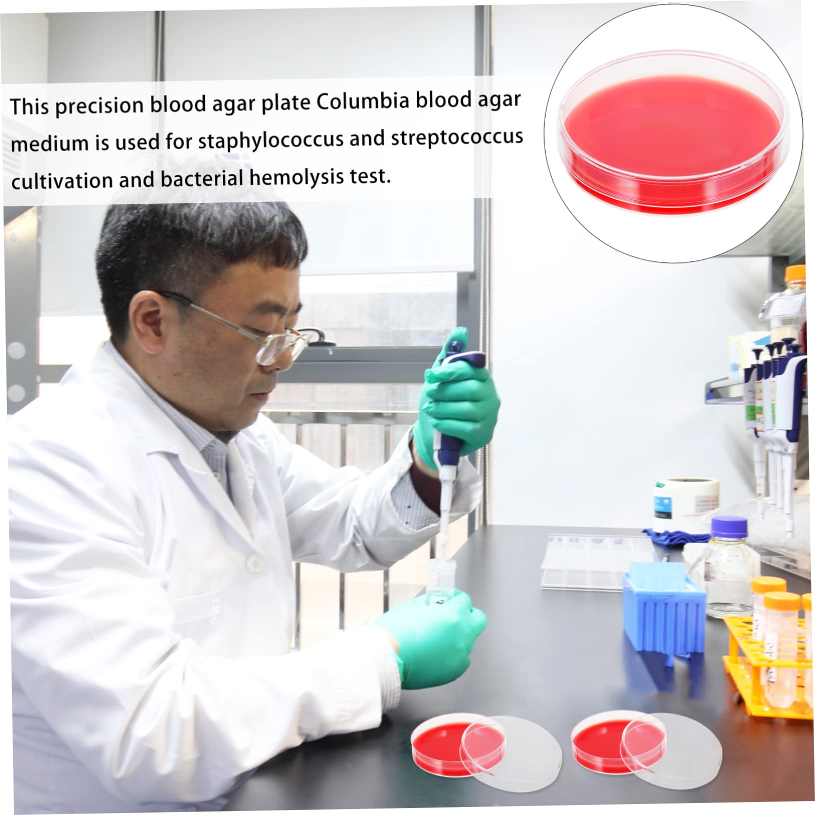 Healvian 20pezzi Piastra Agar Terreno Di Coltura Resistente Agli Urti Per Laboratori e Istituzioni Mediche Alta Praticità e Maneggevolezza