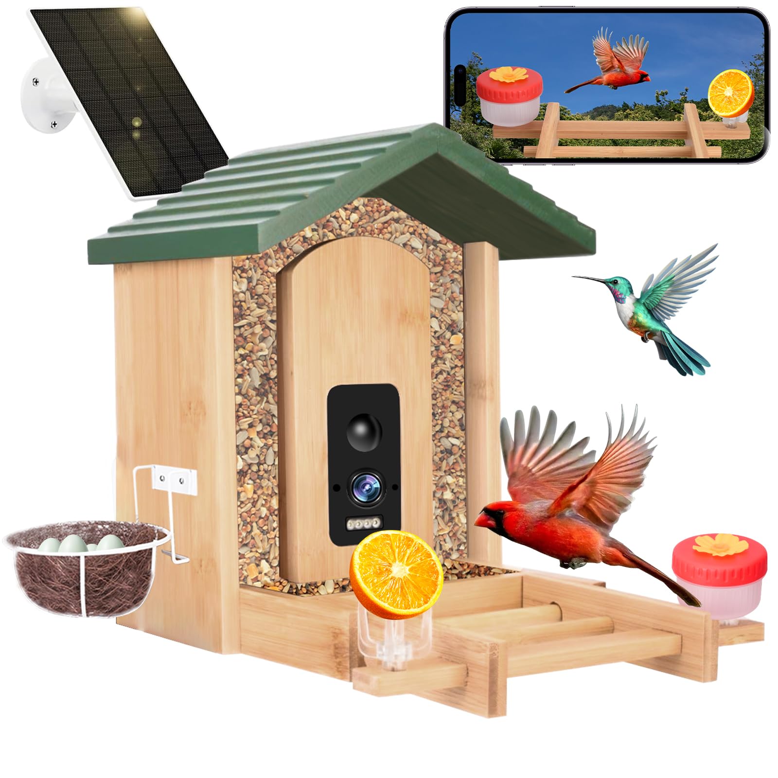 smart bird feeder with camera solar powered and ai alerts