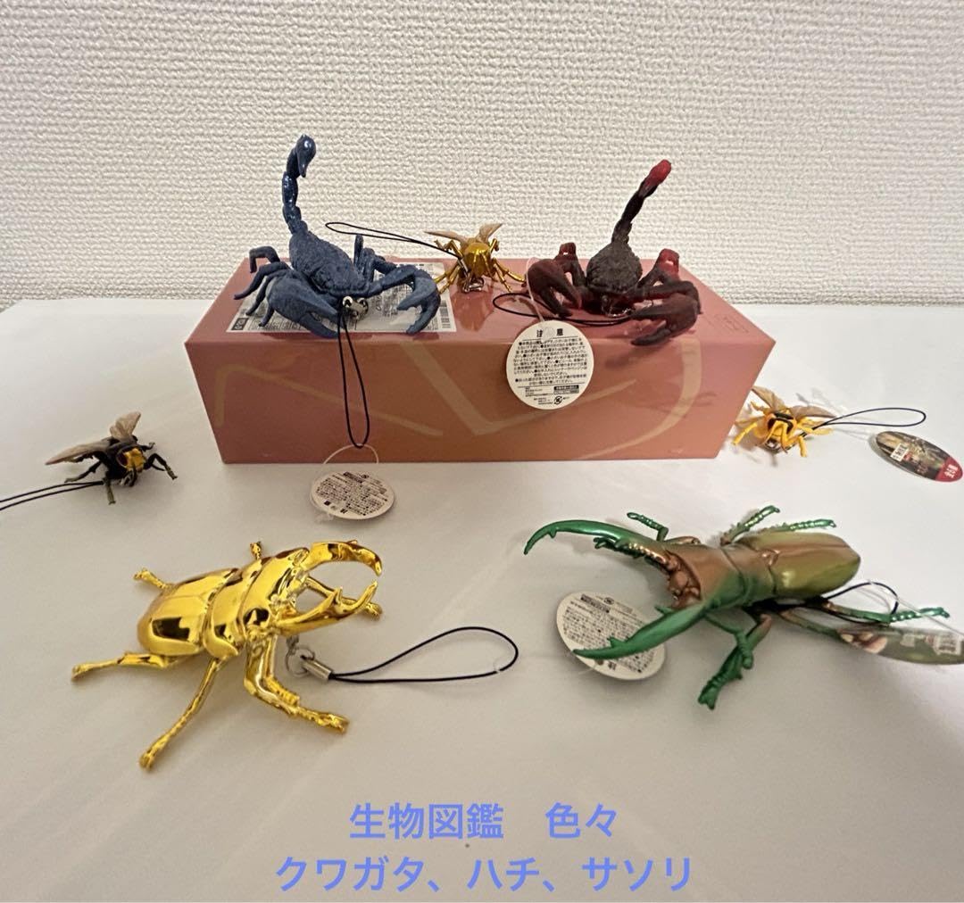 Amazon.co.jp: 生物図鑑 リアルカブトクワガタ 7個 クワガタ ハチ