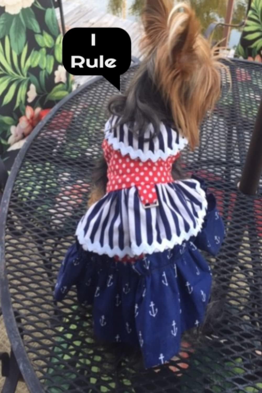 I Rule: Yorkie Journal